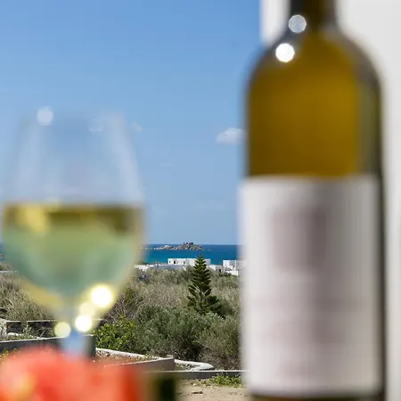 Apartmanhotel Cezaria Naxos Pláka